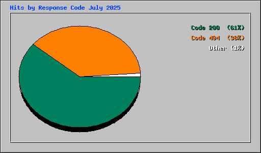 Hits by Response Code July 2025